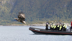Spektakulær natur
