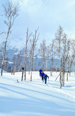 Opplev Lofotens vintermagi